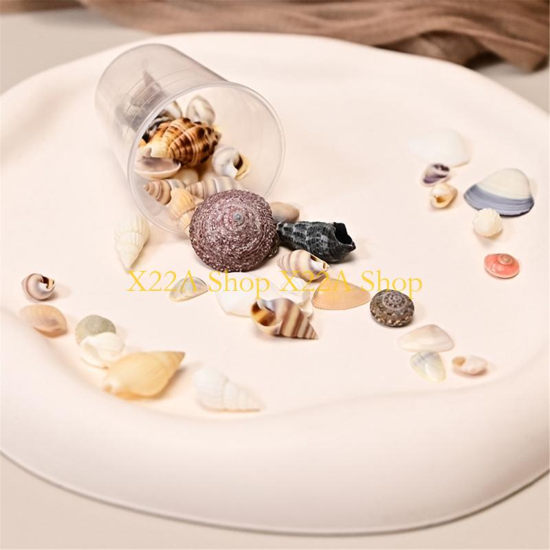 Unique Seashells Art Materials - Art Craft Description ulasan dan harga