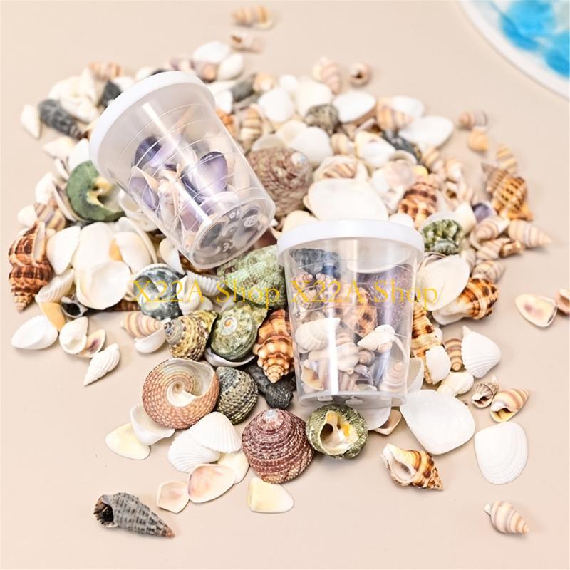 Unique Seashells Art Materials - Art Craft Description ulasan dan harga