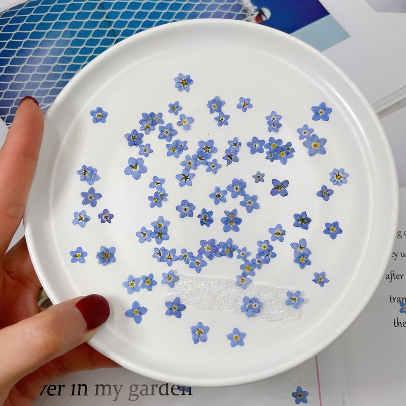 100pcs/0.5-1cm,Pressed mini fo - Art Craft 2 Year Olds ulasan dan harga